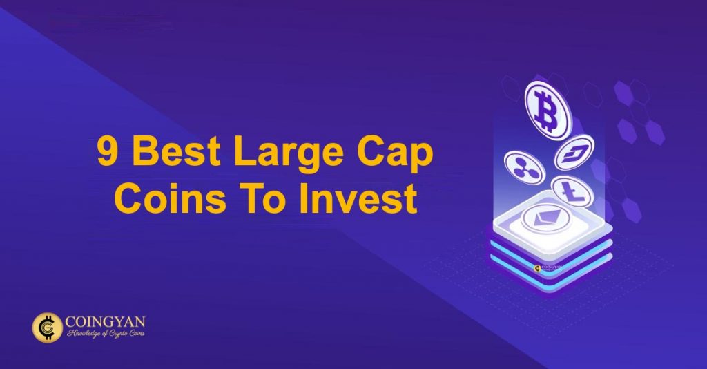 9 Best Large Cap Coins To Invest - CoinGyan